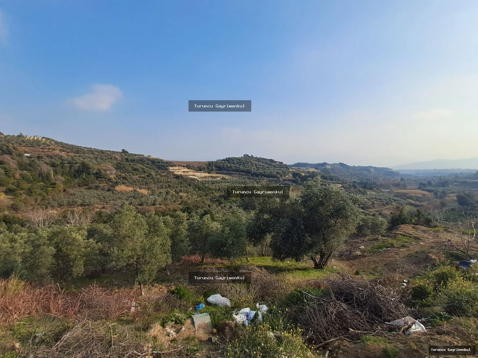 YAYLICADA KÖY EVLERİNİN BİTİŞİĞİ 28762 M2 İMARA SIFIR fotoğraf 5