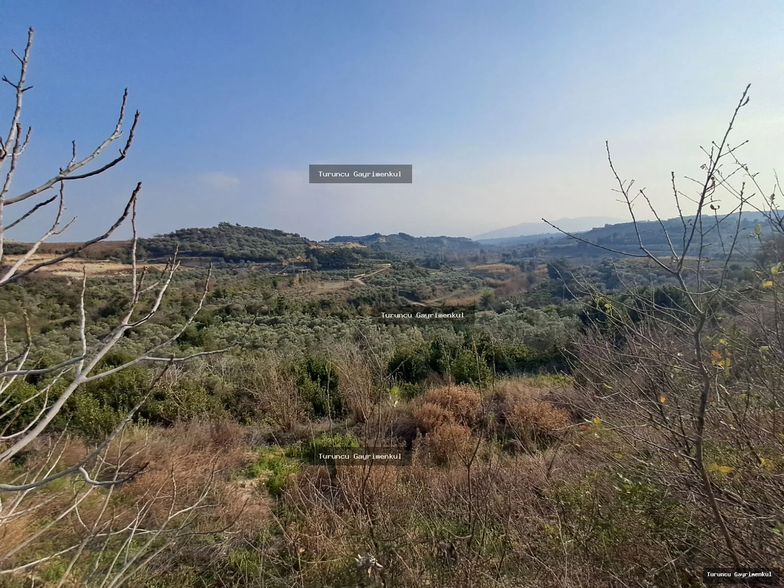 YAYLICADA KÖY EVLERİNİN BİTİŞİĞİ 28762 M2 İMARA SIFIR fotoğraf 6