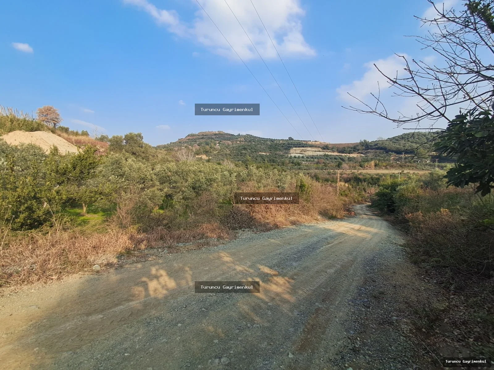 YAYLICADA KÖY EVLERİNİN BİTİŞİĞİ 28762 M2 İMARA SIFIR fotoğraf 33